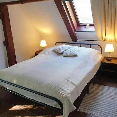 Altes Otto Haus *