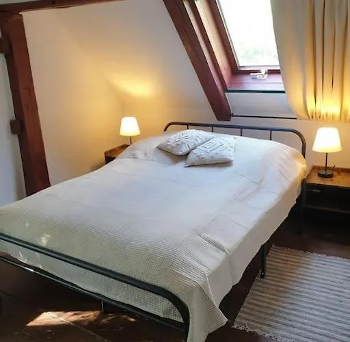 Altes Otto Haus *