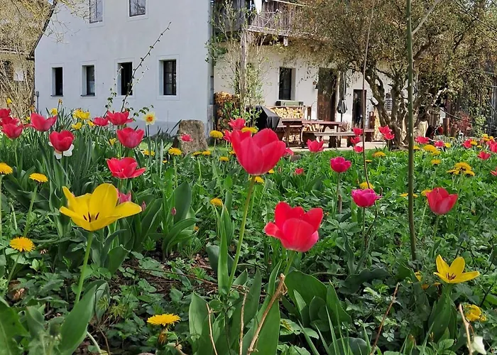 度假居 Altes Otto Haus